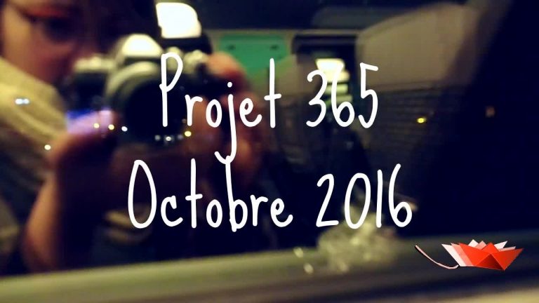 Projet vidéo 365 : Octobre – Couleurs d’Automne