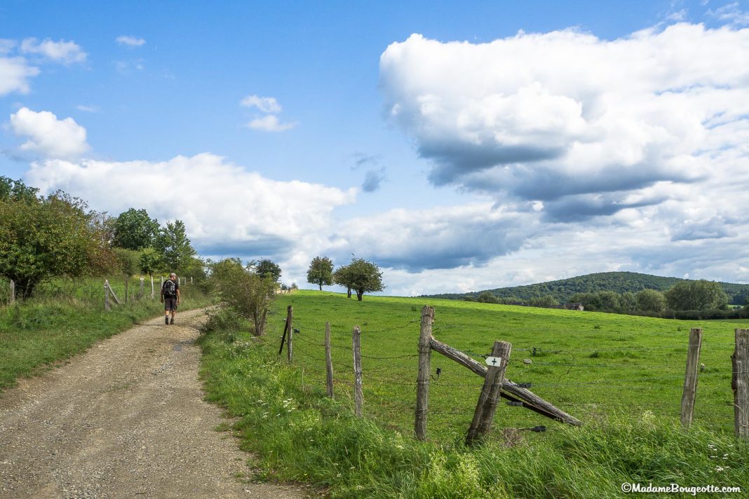 Mes 5 plus belles randonnées en Ardenne belge - Madame Bougeotte