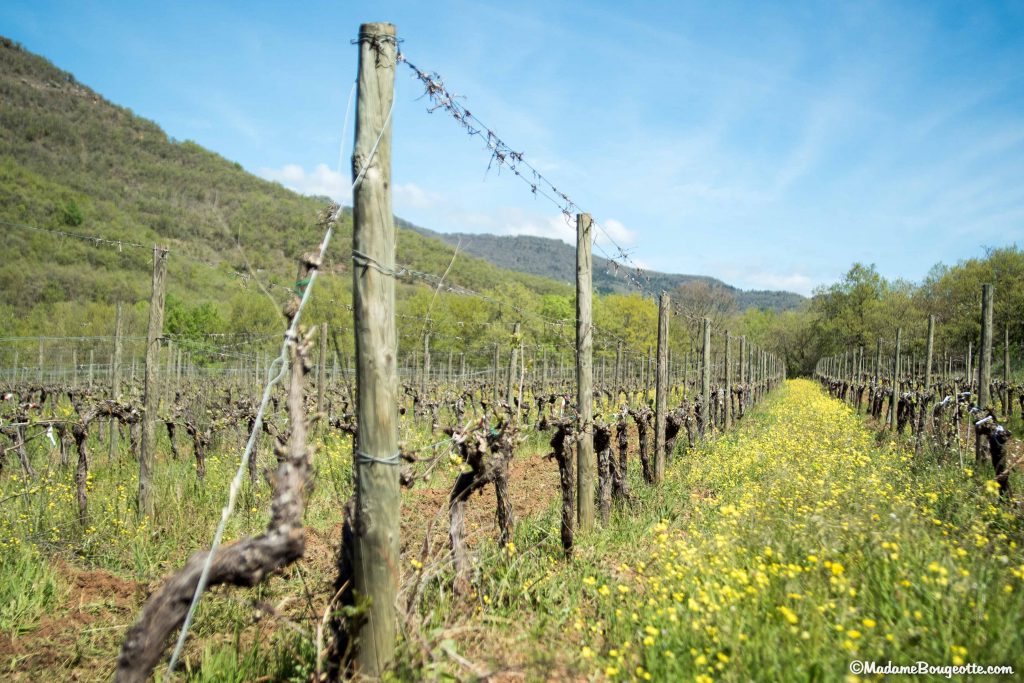 vin biodynamique en Aveyron